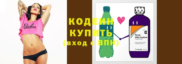 индика Новодвинск