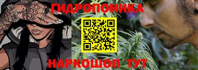 мдпв Дубна