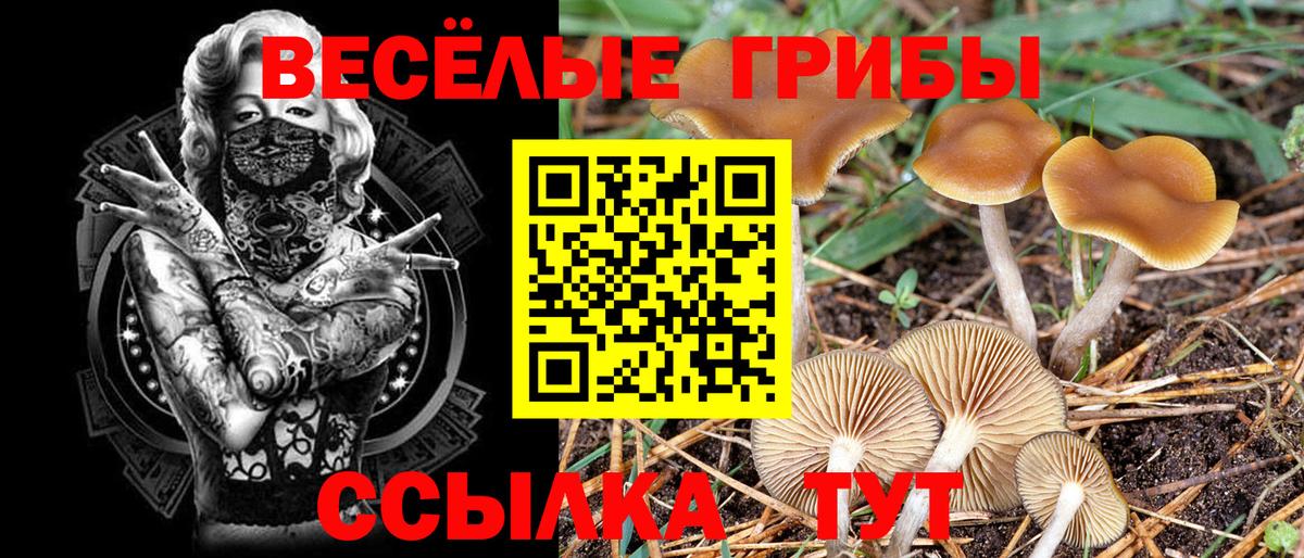 Галлюциногенные грибы прущие грибы Печора