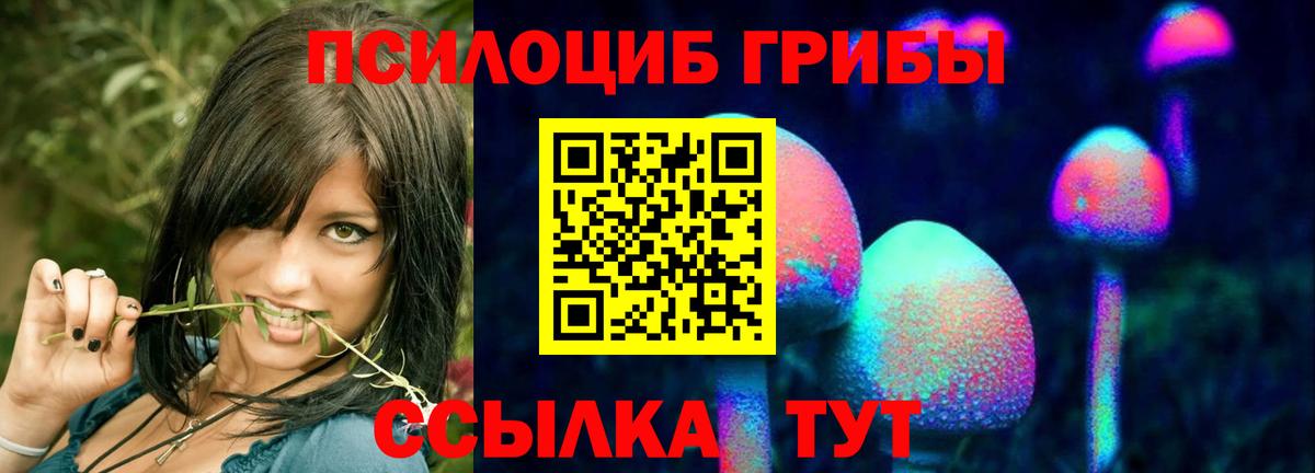 купить наркотик  Вход с VPN  Печора  Галлюциногенные грибы мицелий 